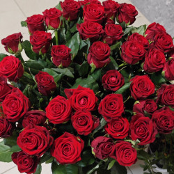 Красные розы