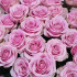 Розовые розы